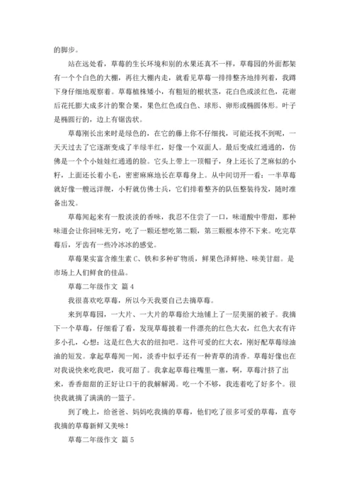 草莓二年级作文锦集七篇.docx