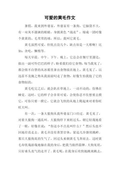 可爱的黄毛作文.docx