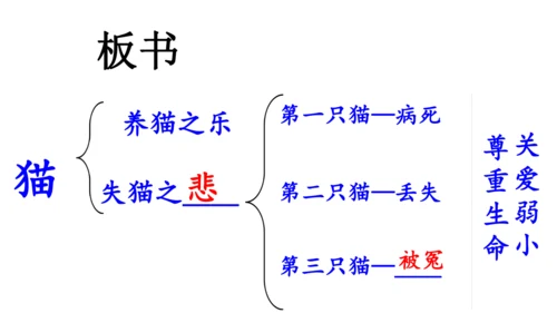 17  猫  课件(共52张PPT)