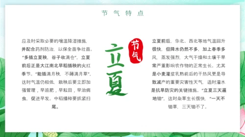 立夏习俗文化荷花池避暑PPT模板