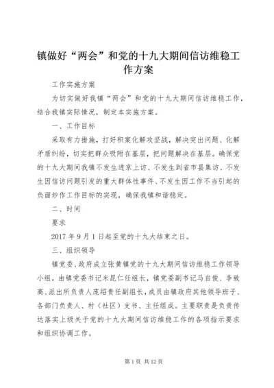 镇做好“两会”和党的十九大期间信访维稳工作方案.docx