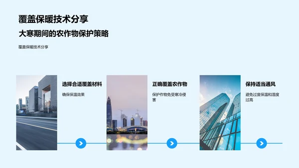 大寒防寒与农作物