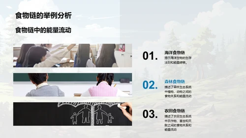 生态平衡与食物链
