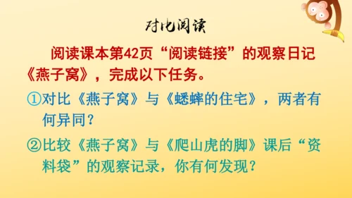 11 蟋蟀的住宅  课件