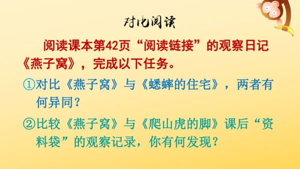 11 蟋蟀的住宅  课件