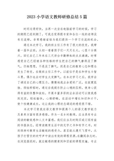 2023小学语文教师研修总结5篇.docx