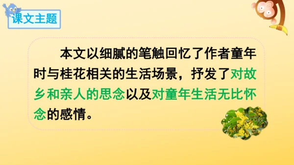 3 桂花雨   课件