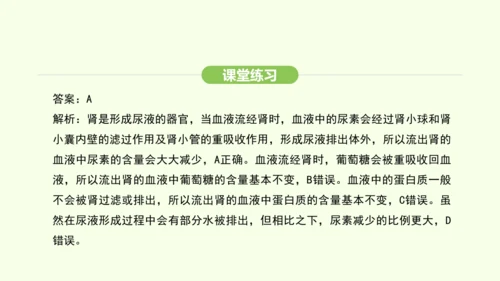 第四单元-第五章-人体内废物的排出课件-2024-2025学年七年级生物下学期人教版(2024)(共