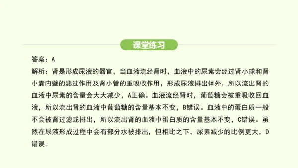 第四单元-第五章-人体内废物的排出课件-2024-2025学年七年级生物下学期人教版(2024)(共