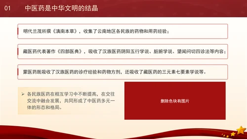 推动中医药在传承创新中高质量发展专题党课PPT