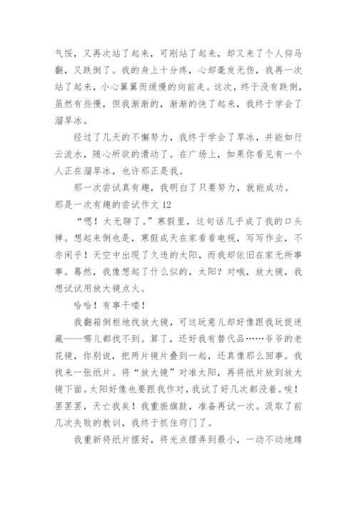 那是一次有趣的尝试作文_5.docx