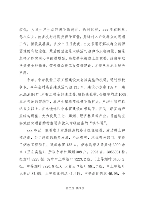 村党总支书记带头致富事迹材料.docx