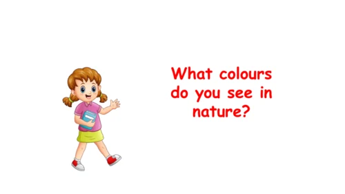 Unit 5   The colourful world课件（72张PPT)