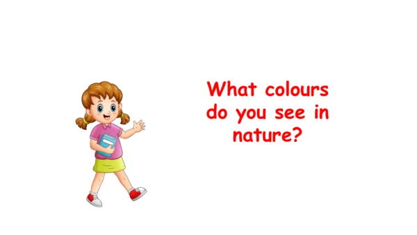 Unit 5   The colourful world课件（72张PPT)