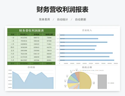 财务营收利润报表
