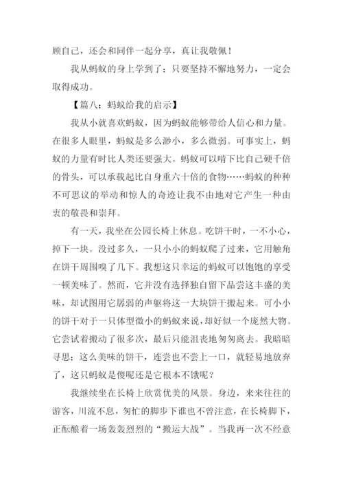 蚂蚁的启示作文-6.docx