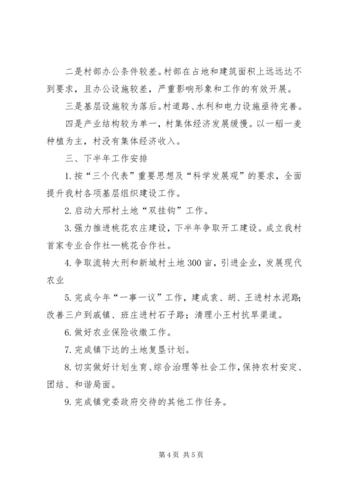 村XX年上半年工作总结和下半年工作计划.docx