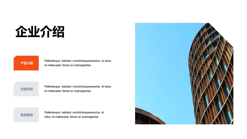 单色扁平3项企业介绍