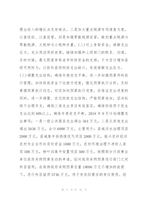 预算执行情况报告.docx