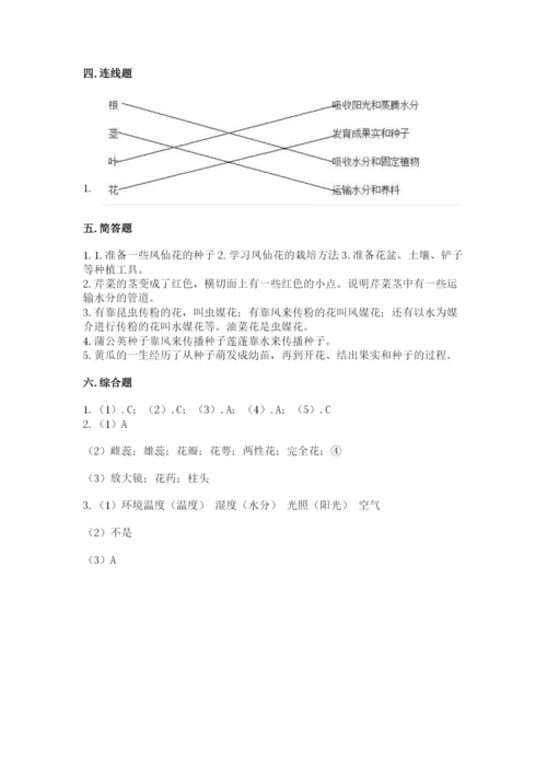 教科版四年级下册科学第一单元《植物的生长变化》测试卷精品（典优）.docx