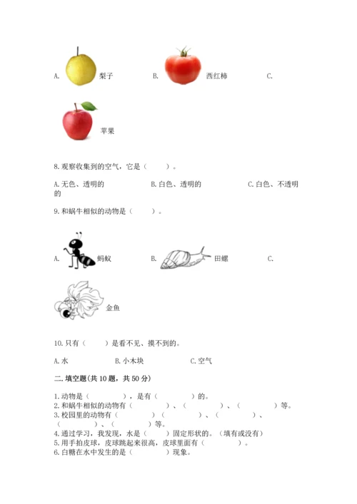 教科版一年级下册科学期末测试卷及答案（有一套）.docx