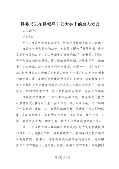 县委书记在县领导干部大会上的表态发言 (2).docx