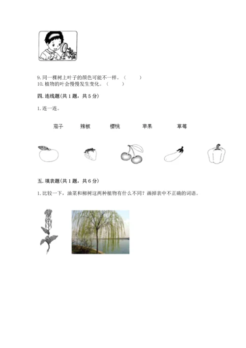教科版一年级上册科学期末测试卷加答案解析.docx