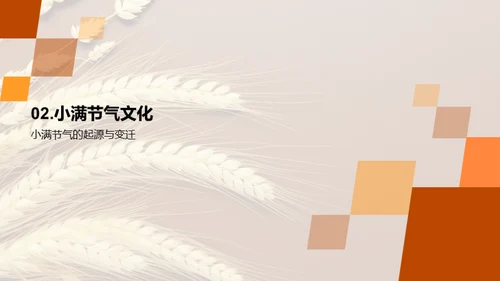 小满节气纪实探秘
