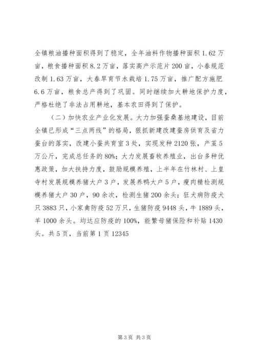 乡镇政府下半年工作总结及年末工作计划.docx