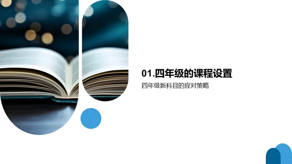 四年级学习之路