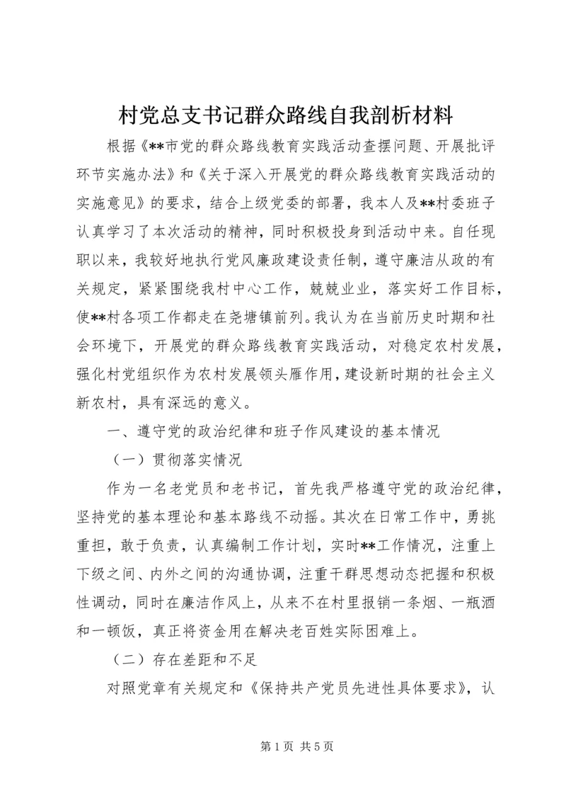 村党总支书记群众路线自我剖析材料.docx