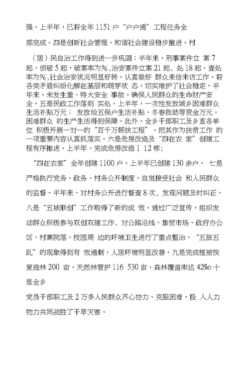 乡政府XX年半年工作总结及下半年工作打算