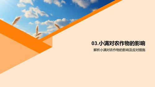 小满节气的影响及应对