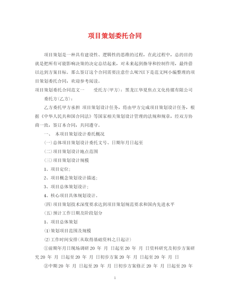 2023年项目策划委托合同.docx