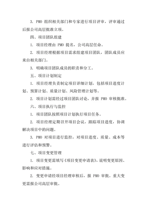 保险公司项目管理办法