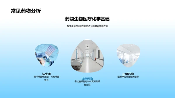 药物开发的生物医学之路