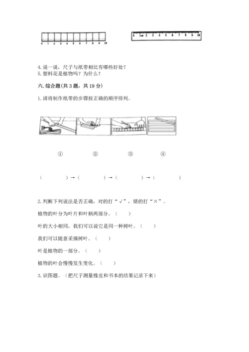 教科版一年级上册科学期末测试卷附精品答案.docx