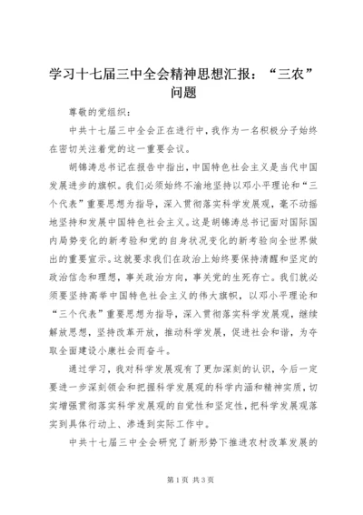 学习十七届三中全会精神思想汇报：“三农”问题 (3).docx