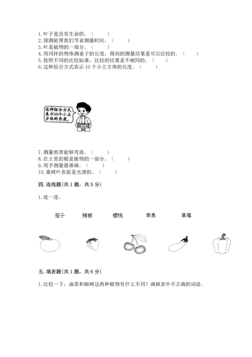 教科版科学一年级上册期末测试卷含答案（巩固）.docx