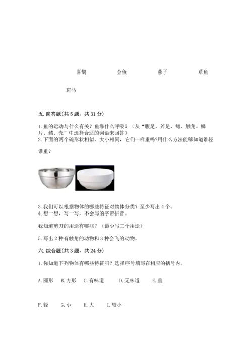 教科版一年级下册科学期末测试卷（精练）.docx
