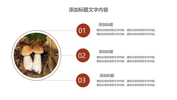 蘑菇菌类养生文化宣传动态PPT模板