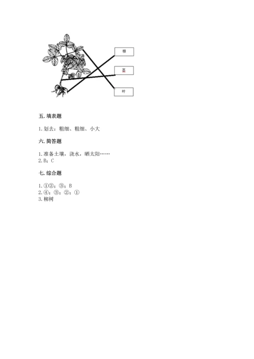 教科版科学一年级上册第一单元《植物》测试卷附参考答案【培优】.docx