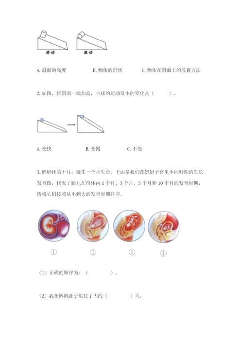 教科版小学科学三年级下册 期末测试卷完整.docx