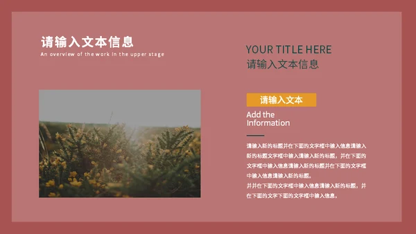 欧洲复古文艺方案通用PPT模板