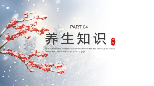 蓝色小清新小雪节气PPT模板
