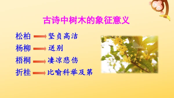 5《铺满金色巴掌的水泥道》   课件