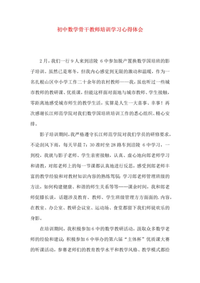 初中数学骨干教师培训学习心得体会.docx