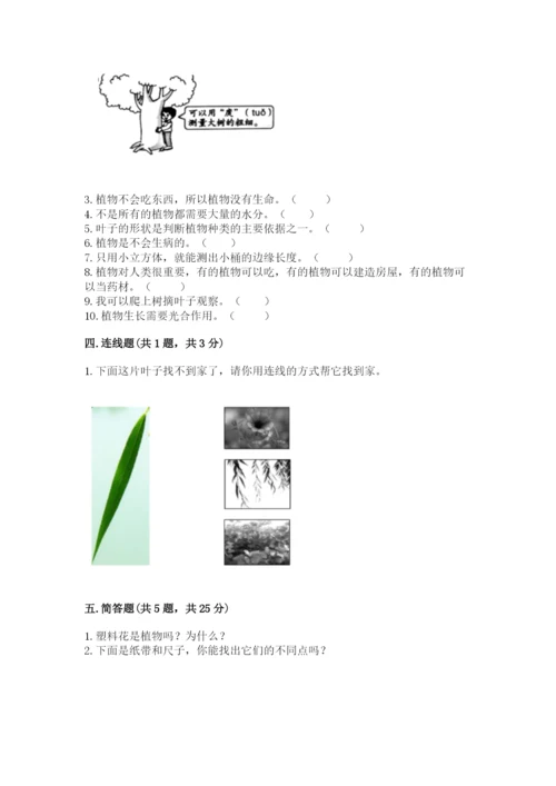 教科版一年级上册科学期末测试卷及参考答案【预热题】.docx