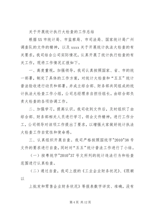 统计执法大检查工作计划.docx