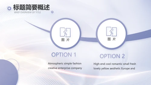 医美招商加盟工作总结动态PPT